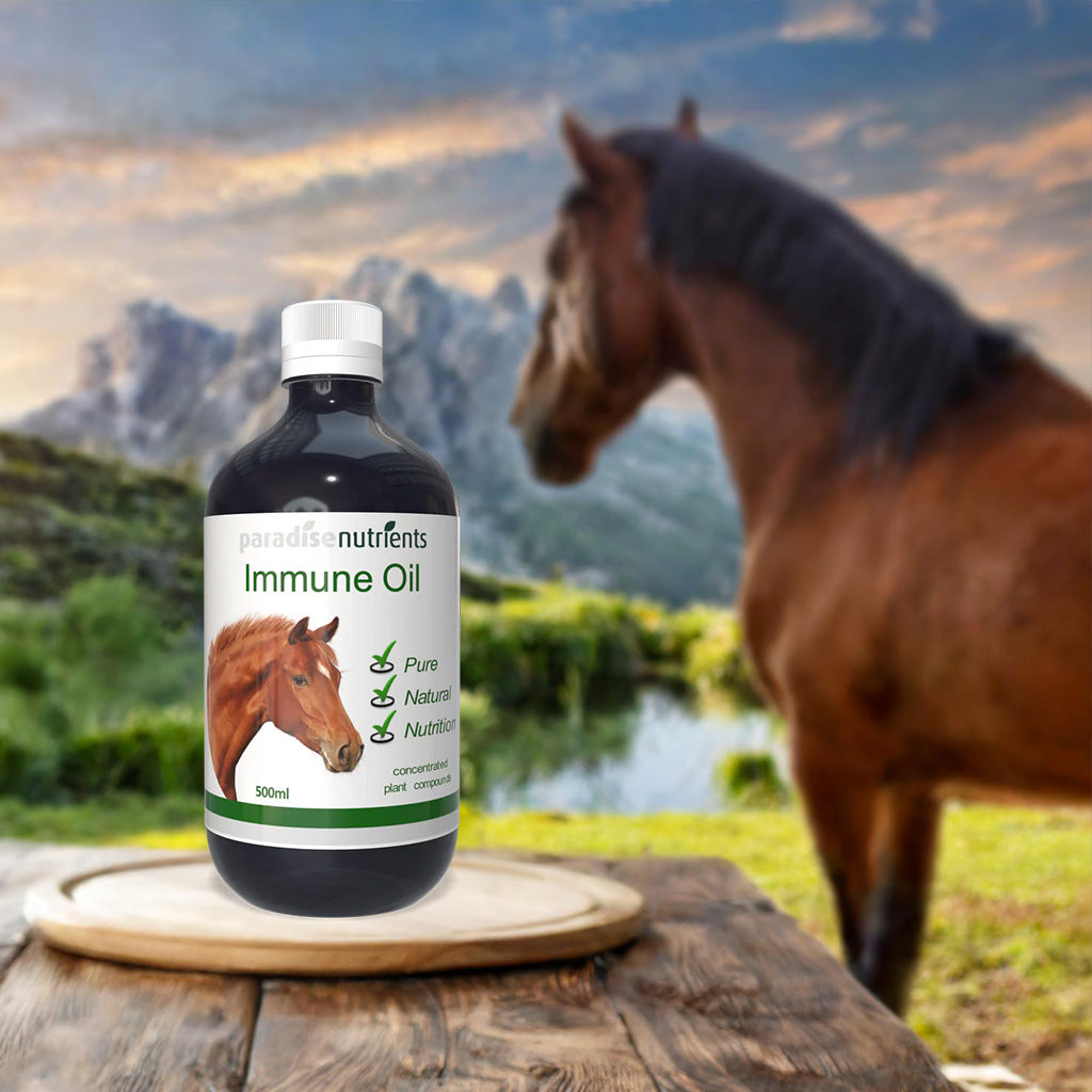 Horse Immune Oil - Paradise Nutrients