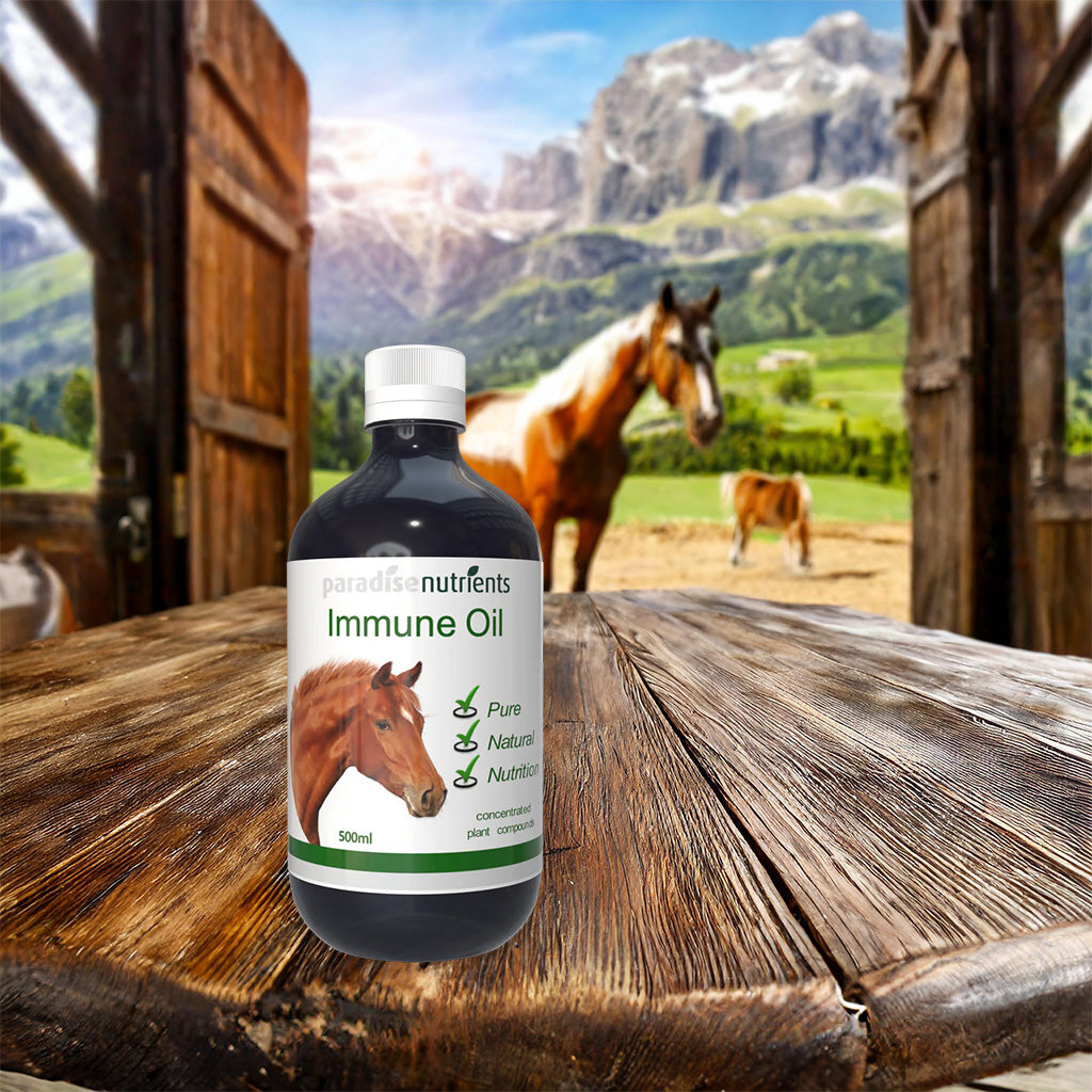 Horse Immune Oil - Paradise Nutrients