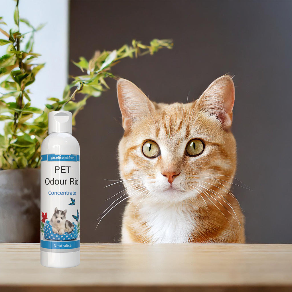 Pet Odour Rid Concentrate