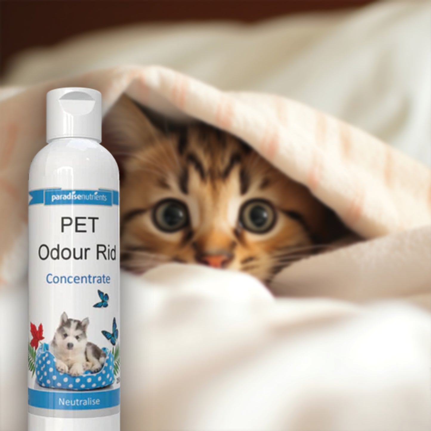 Pet Odour Rid Concentrate