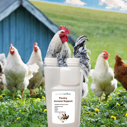 Poultry Immune Support - Paradise Nutrients