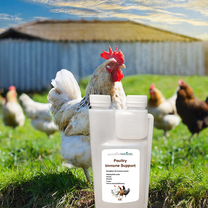 Poultry Immune Support - Paradise Nutrients