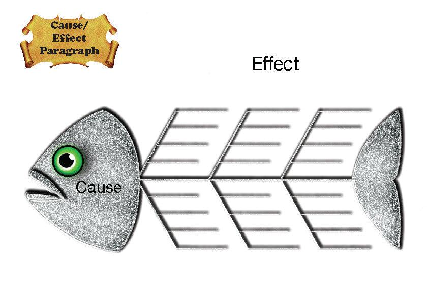 More Than Charms Thinking Skills For Paragraph Writing